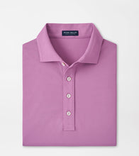 Load image into Gallery viewer, Peter Millar - Soul Performance Mesh Polo - Valencia
