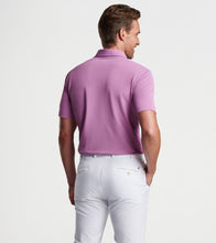 Load image into Gallery viewer, Peter Millar - Soul Performance Mesh Polo - Valencia
