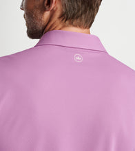 Load image into Gallery viewer, Peter Millar - Soul Performance Mesh Polo - Valencia
