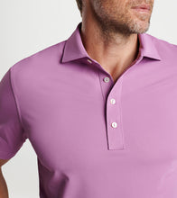 Load image into Gallery viewer, Peter Millar - Soul Performance Mesh Polo - Valencia
