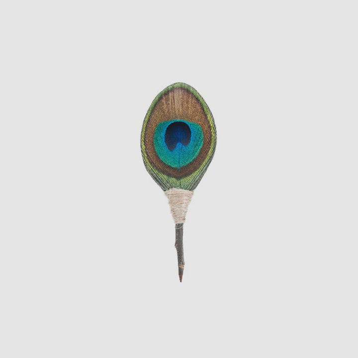 Brackish - Peacock Feather Lapel Pin